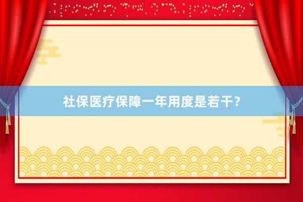 社保医疗保障一年用度是若干？