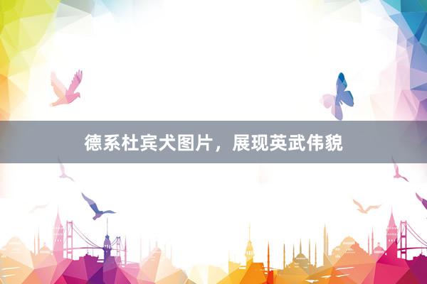 德系杜宾犬图片，展现英武伟貌