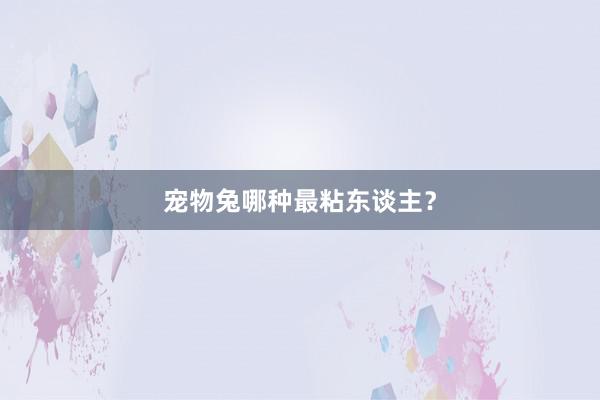 宠物兔哪种最粘东谈主？