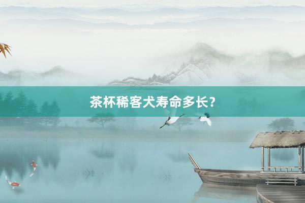 茶杯稀客犬寿命多长？